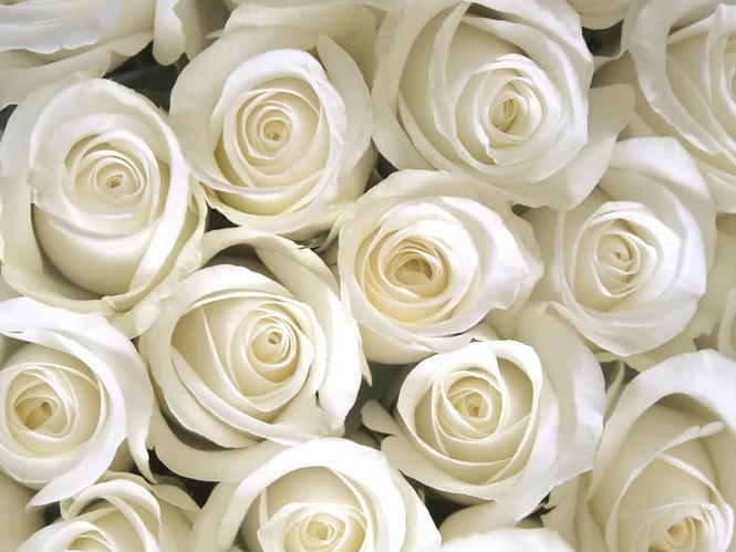 The Wedding Website of Sasha Vasquez and Jermaine Weaver