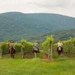 Indian Summer Guide Service