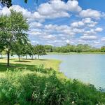 Lake Arlington