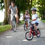 Bike Rentals and Trails