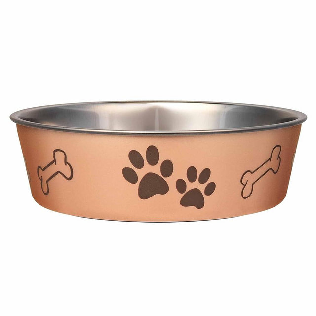 Loving Pets Bella Dog Bowls- Stainless Steel Dog & Cat Bowls - Spill Proof Dog Food Bowl, Cat Bowl, Puppy Essentials & Pet Supplies Great for Home & Travel (Large 35-65 lbs, Champagne)
