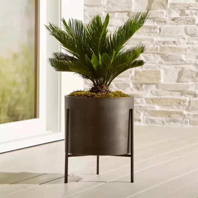 Dundee Bronze Low Indoor/Outdoor Planter with Stand