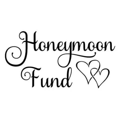 Honeymoon Fund by Venmo