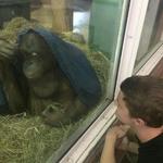 Smithsonian National Zoological Park