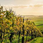 Warwick Valley Winery & Distillery