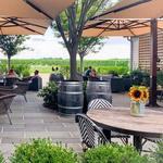 Rose Hill Vineyards