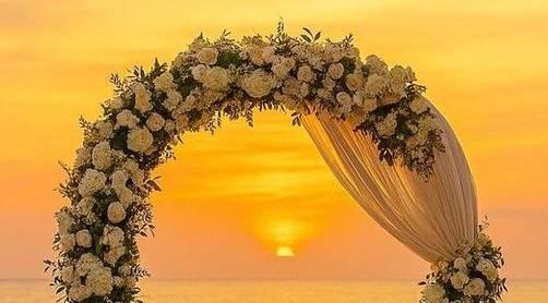 The Wedding Website of Abby Tandoh and Ta"Von Mack