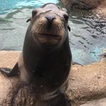 Indianapolis Zoo