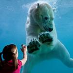 Point Defiance Zoo & Aquarium