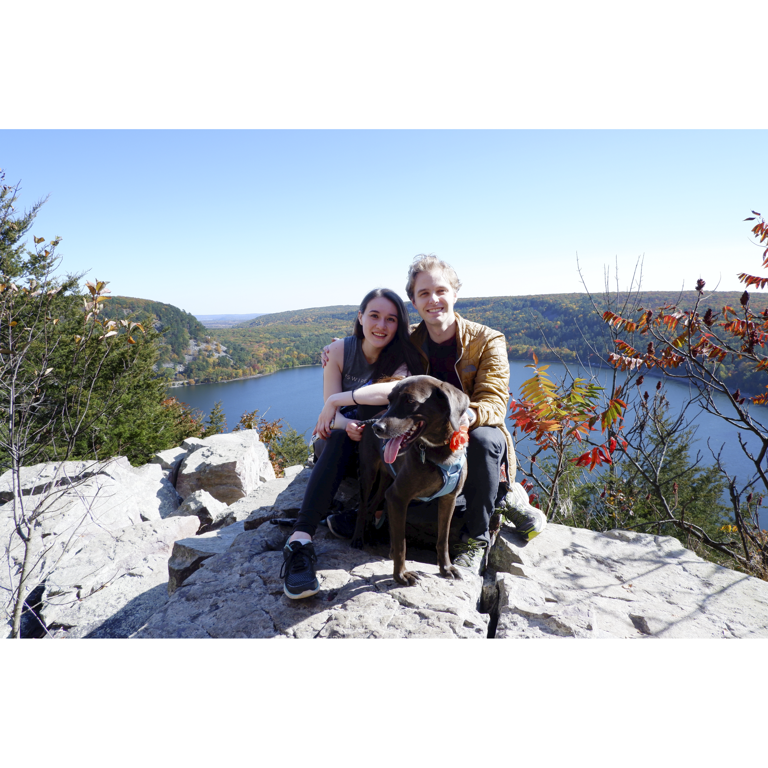 A hike out to Devil's Lake with our dog Hazel - we've since adopted another dog named Oski who will be featured in the wedding alongside Hazel!