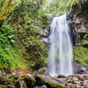 Lost Waterfalls Hike in Panama