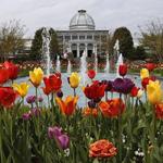 Lewis Ginter Botanical Garden