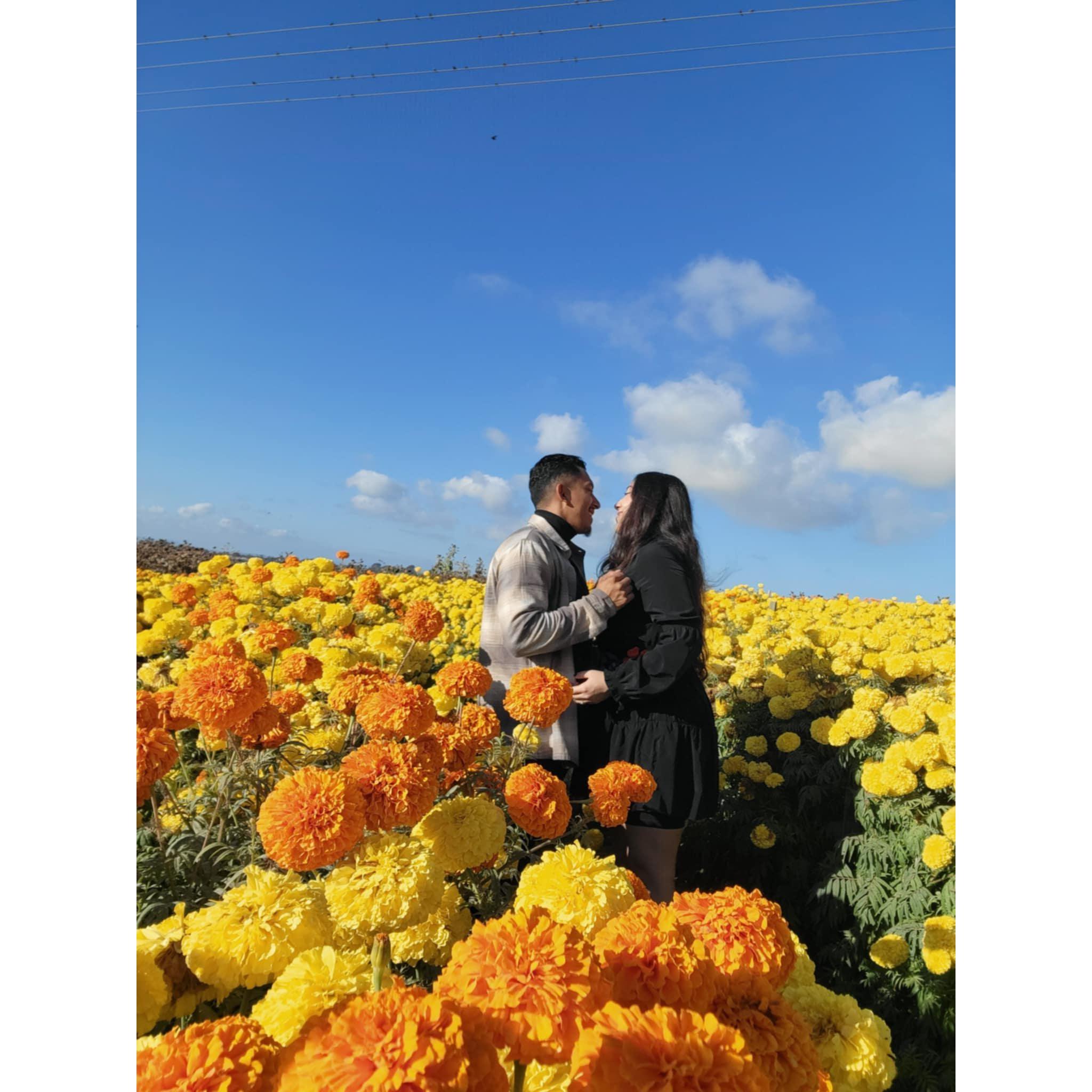 Our annual pumpkin patch 2023