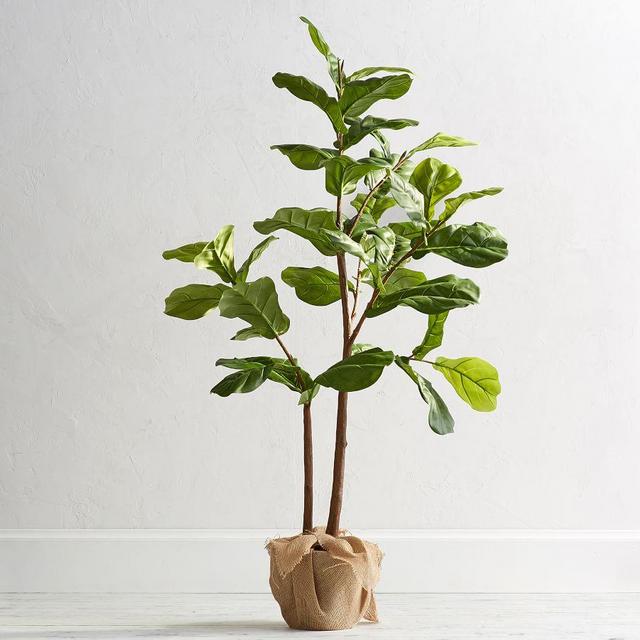 Faux Potted Fiddle Leaf Tree, Medium - 5ft
