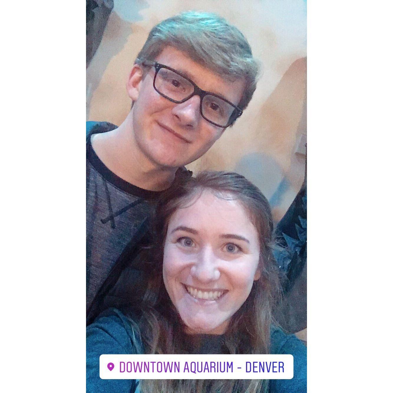1st trip to the Denver Aquarium