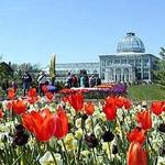 Lewis Ginter Botanical Garden