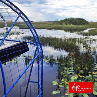 Private Everglades Airboat Adventure for 4 - Miami