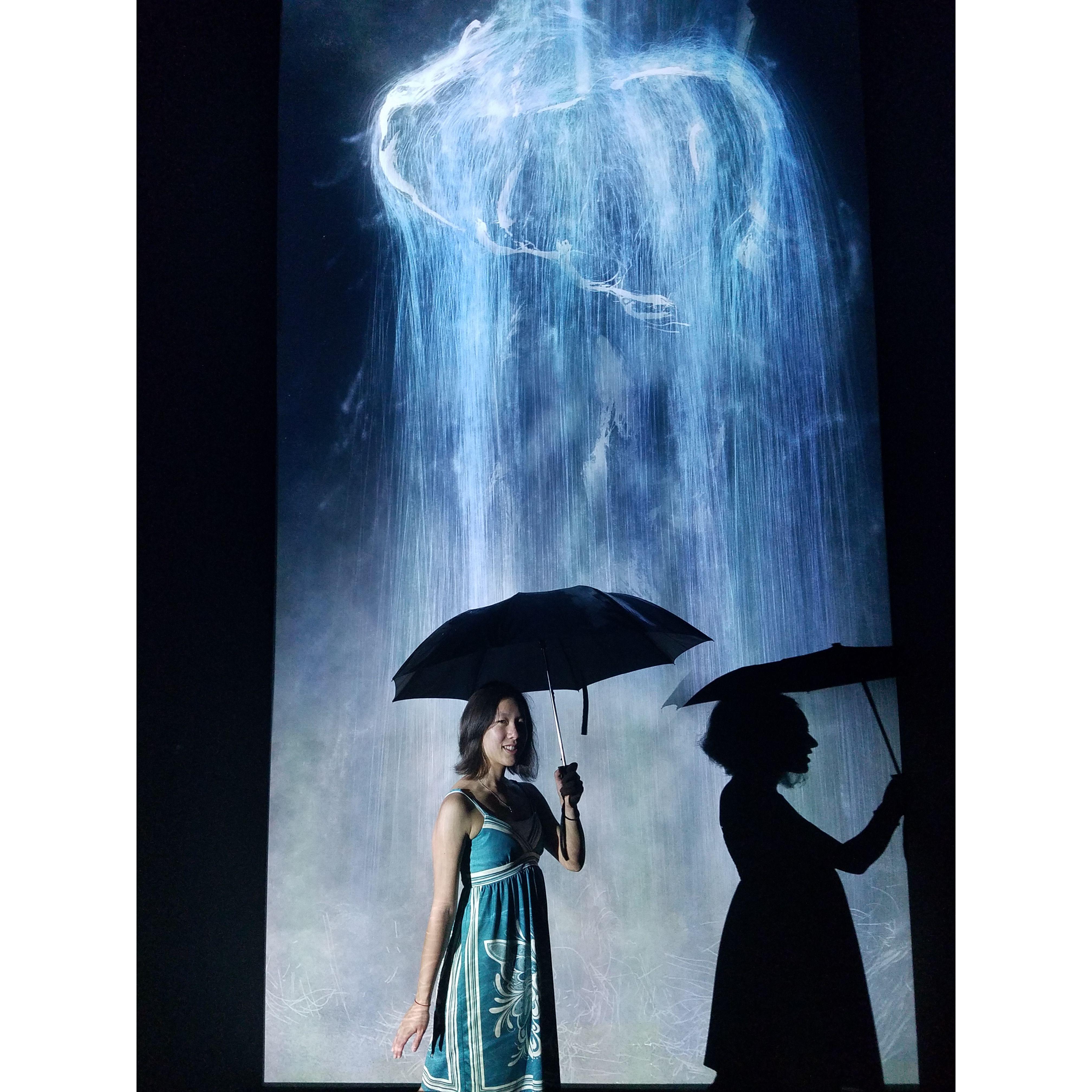 Taken from a fancy digital art museum in Singapore in 2018. We happened to have an umbrella because sudden heavy downpours are a thing in Southeast Asia.