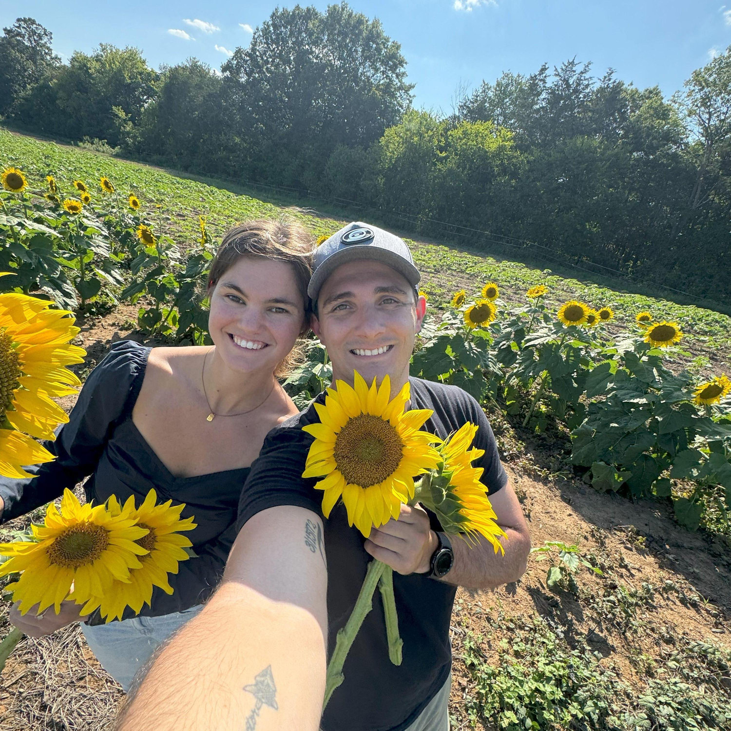 Picking sunflowers at Messick's Farm
