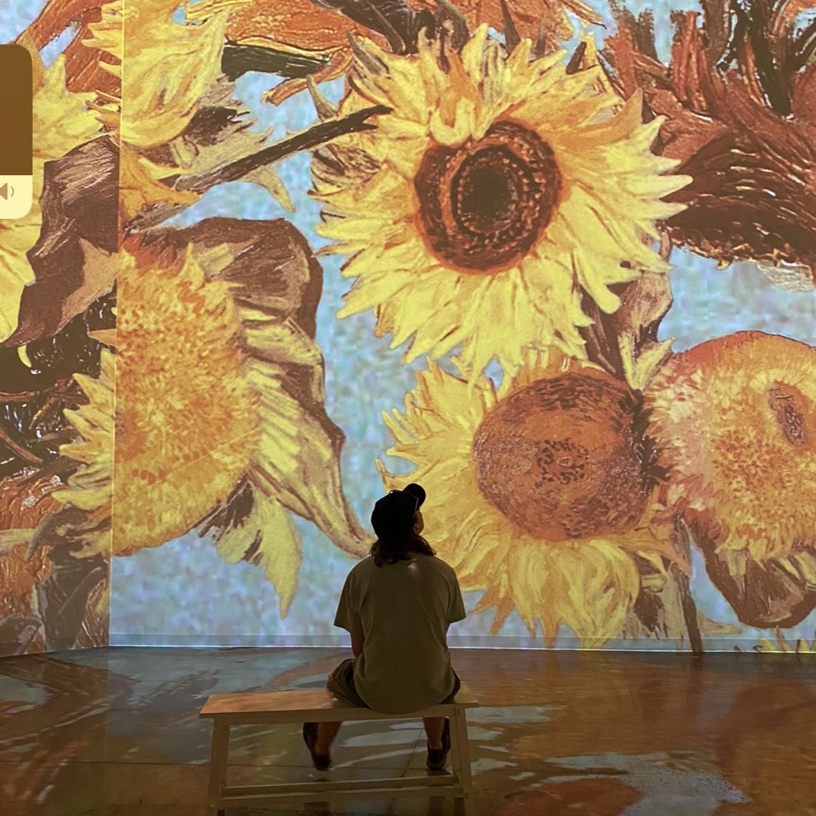 Van Gogh immersive exhibit