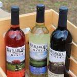 Baraboo Bluff Winery