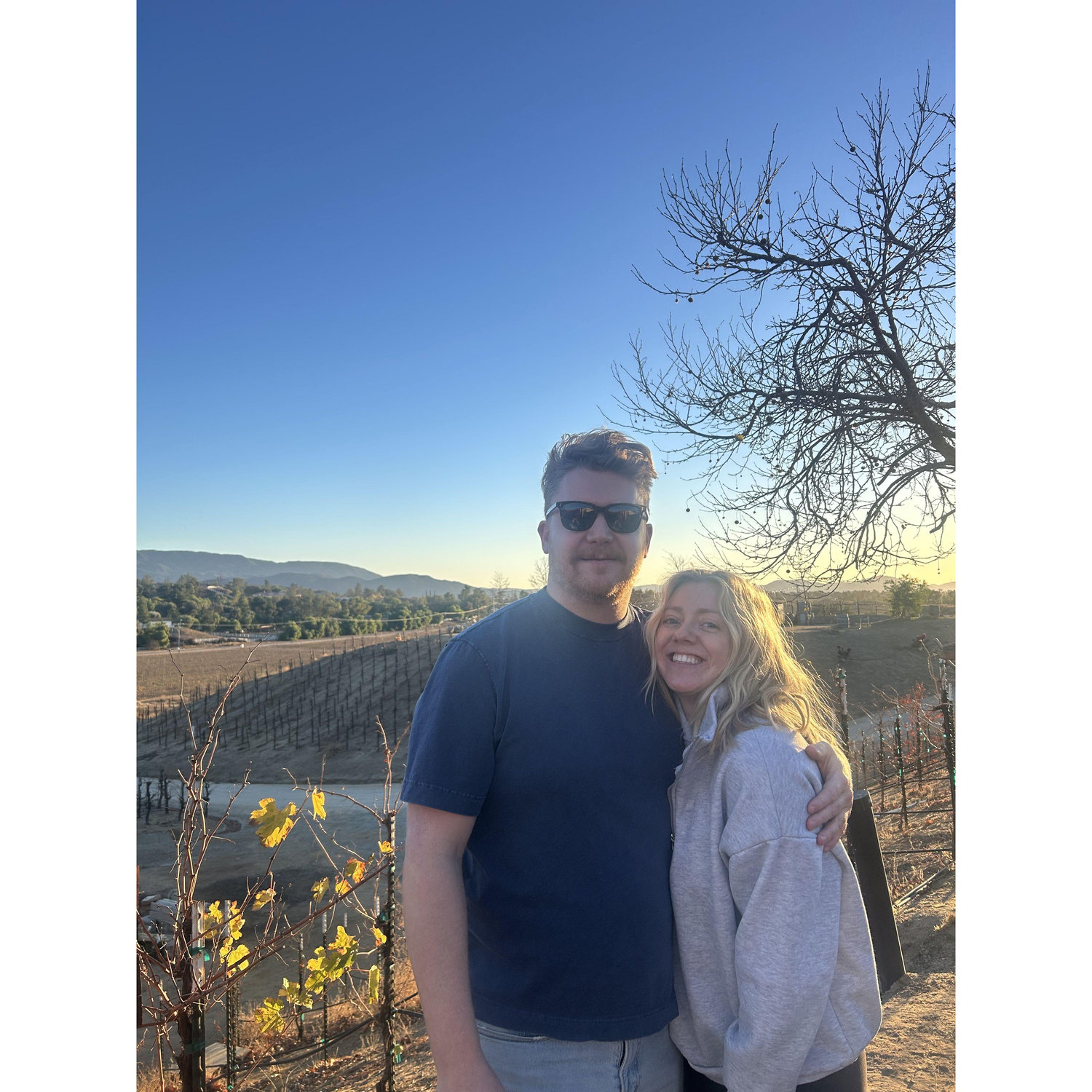 We genetically modified the grapes in our private vineyard and now they're the size of basketballs. The wine has a very sharp rubbery taste, highly recommend.