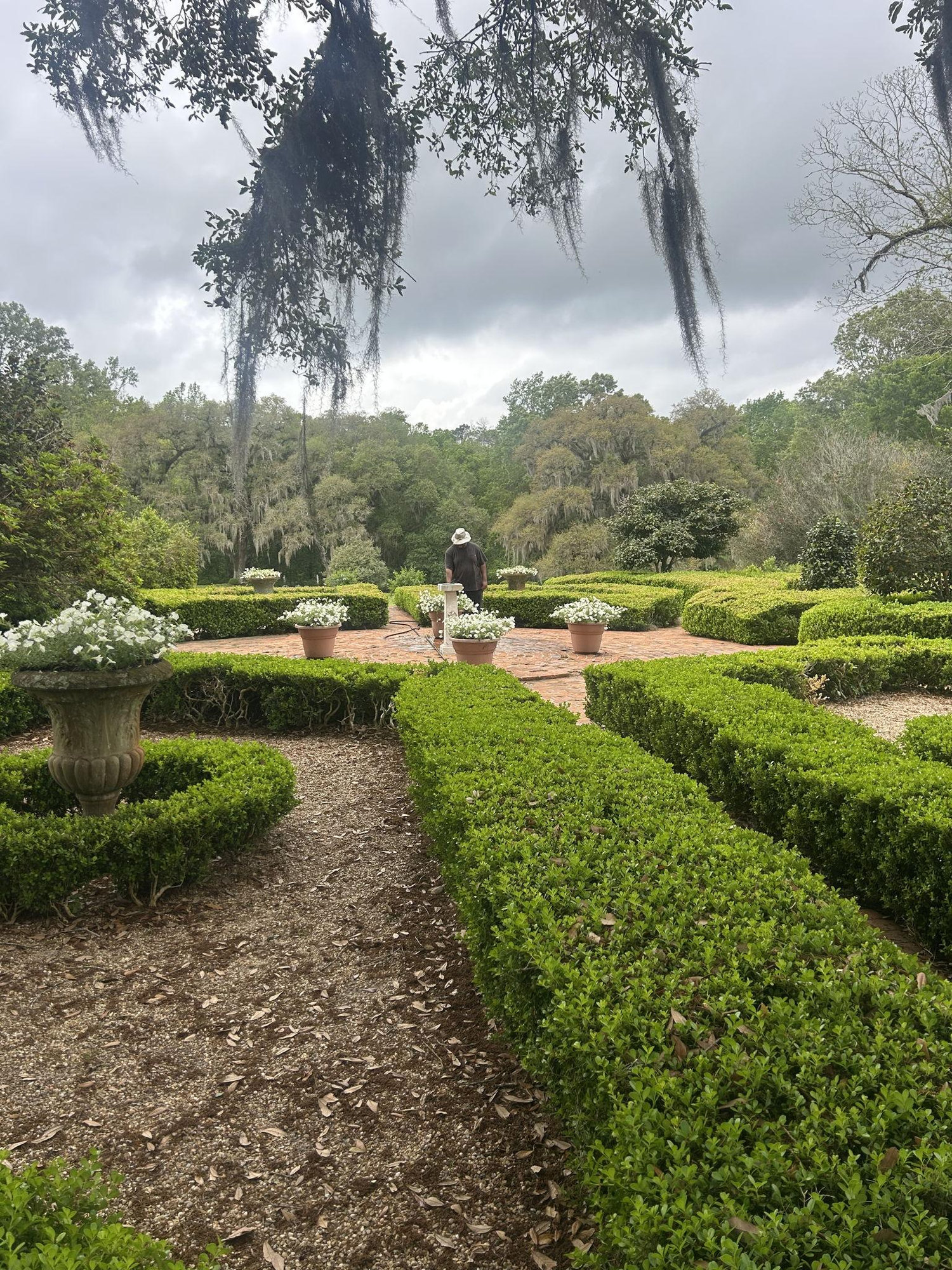 The Wedding Website of Arlaisia DeSpenza and Jordan Moore
