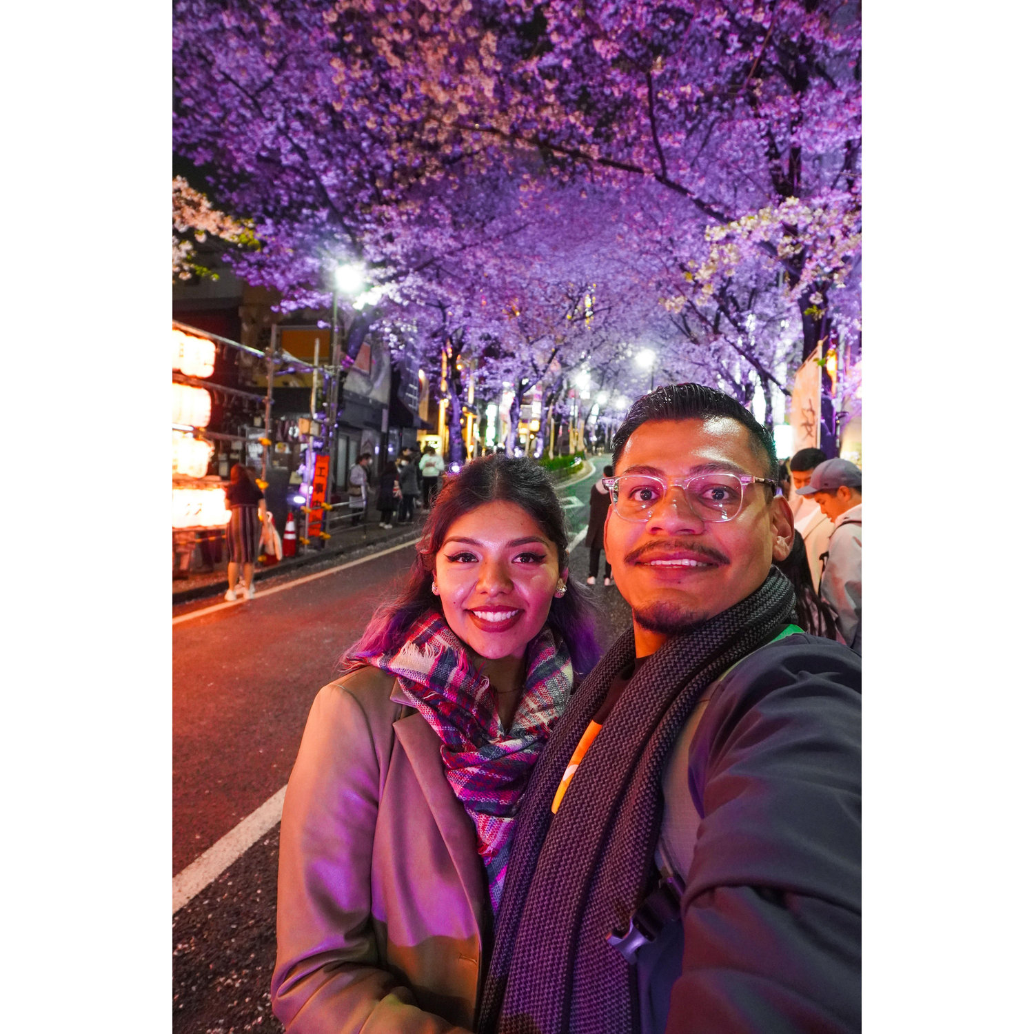 Cherry Blossom Season