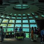 Seattle Aquarium