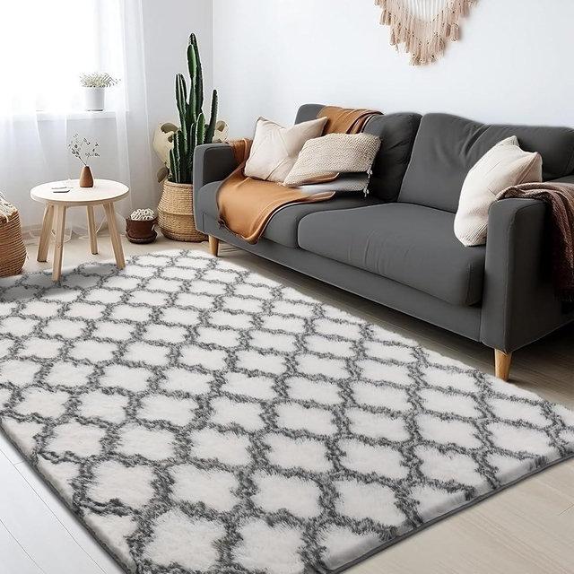 Puremy Fluffy Area Rug 3x5, Super Soft Rugs for Living Room, Small Plush Indoor Carpet for Bedroom, Kids Room, Playroom, Home Decor, Geometric, White/Black
