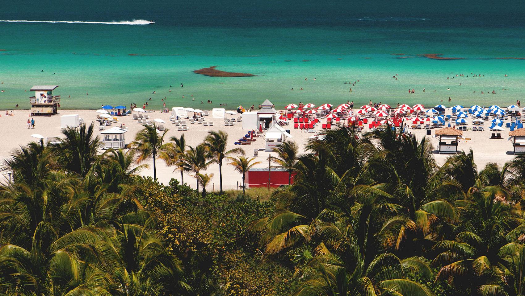 The Wedding Website of Gustavo Silva Cano and Johnny Schaefer