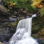 Fillmore Glen State Park
