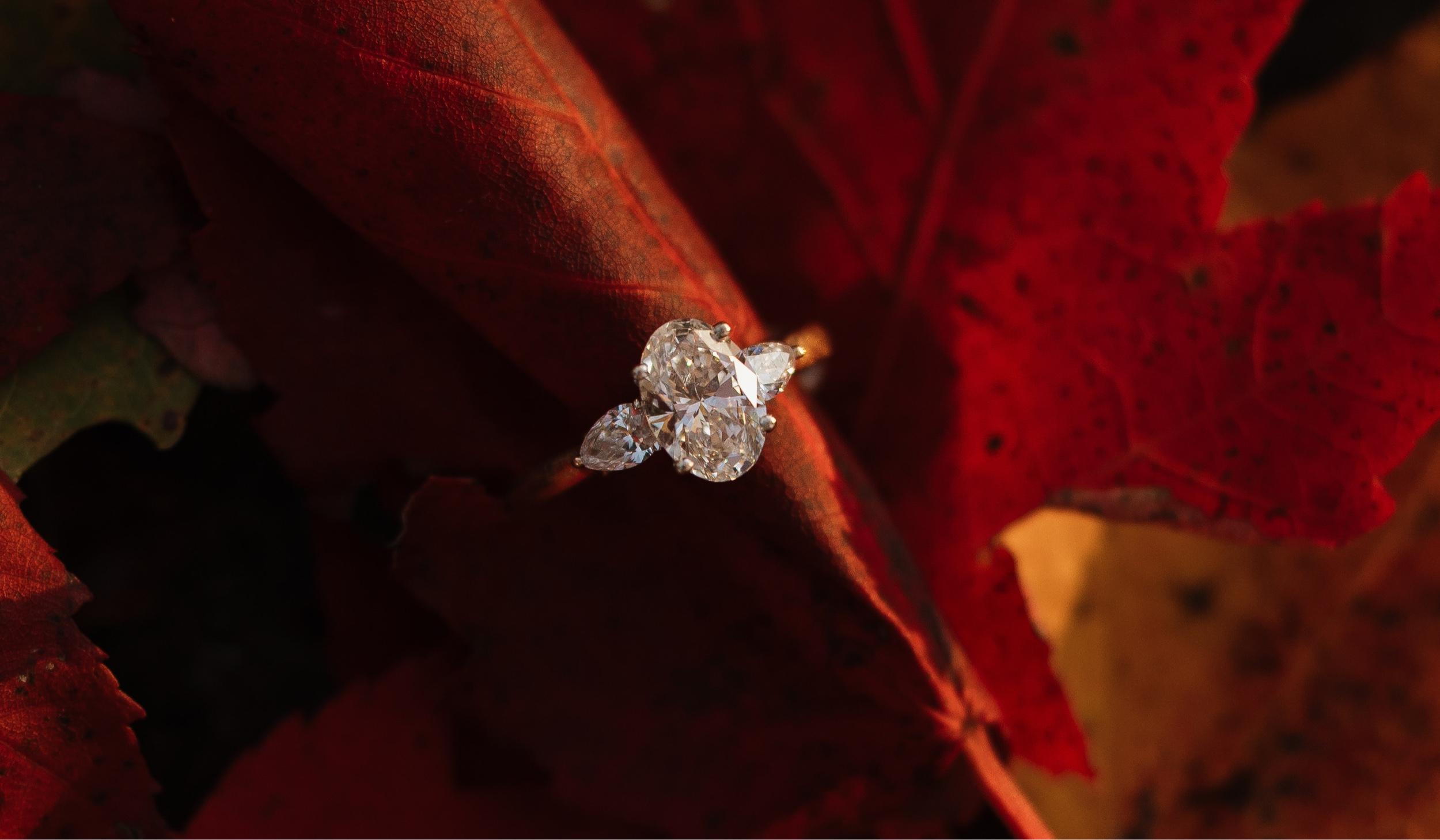 Hero Slideshow Image 3