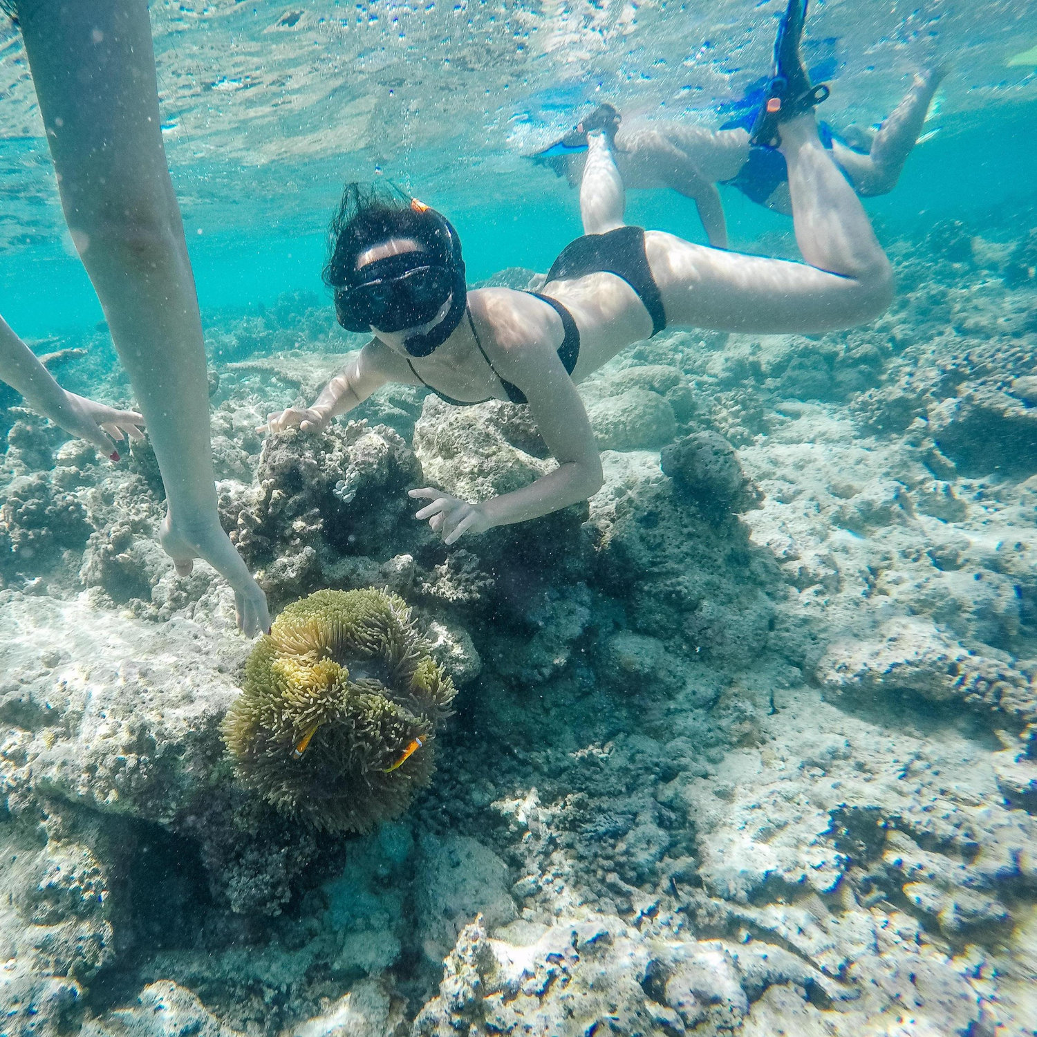 The waterworld of the Maldives. Snorkeling, scuba diving, swimming with sharks and sun tanning. That's alliteration!
