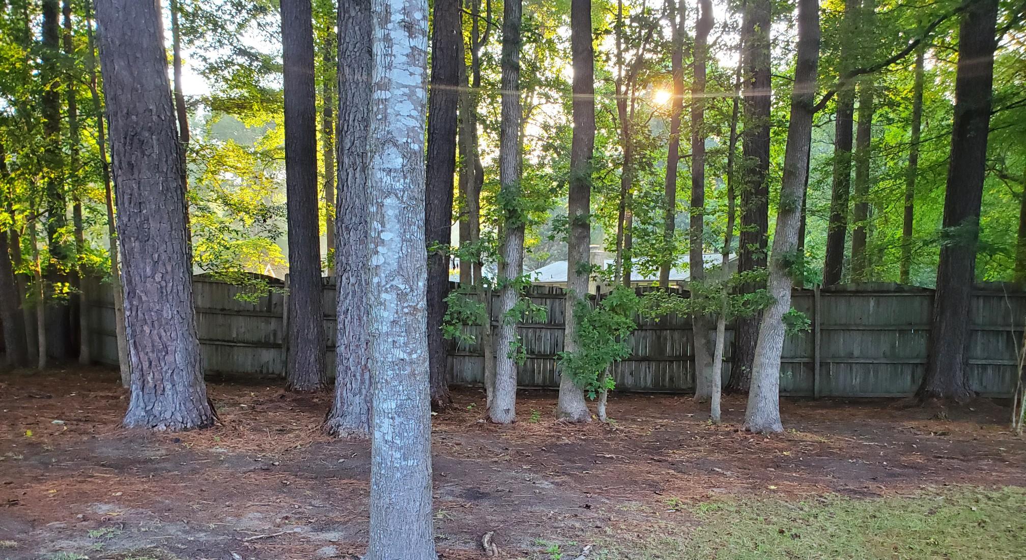The Wedding Website of Sarah Jackson and Robert Harrell