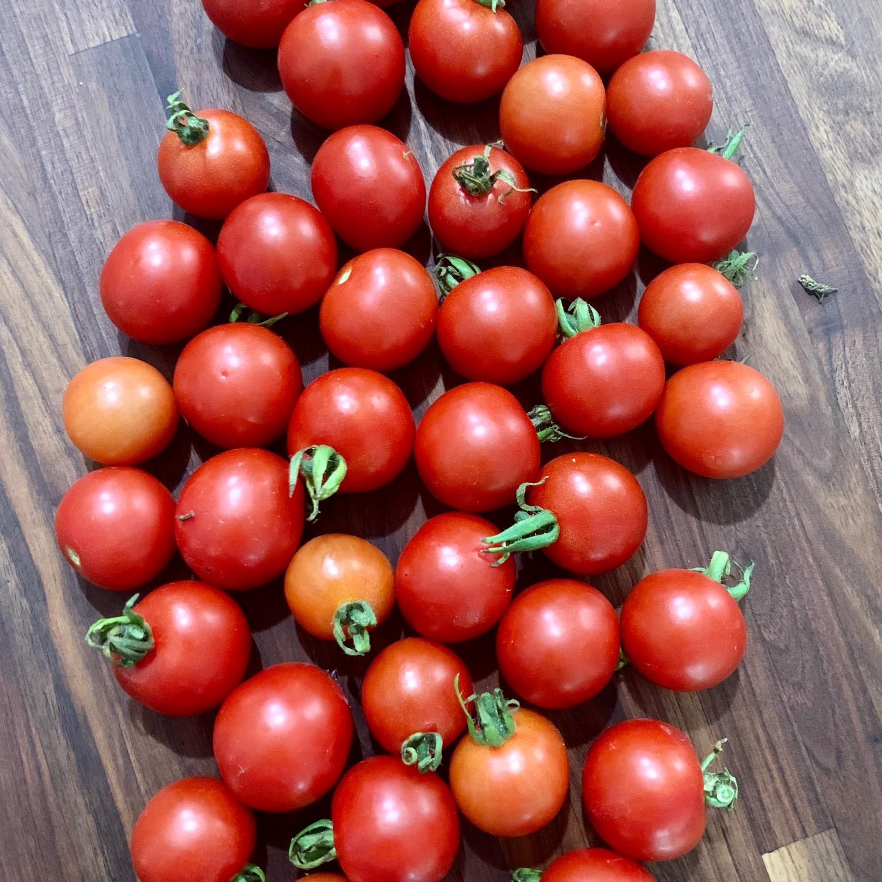 CSA Farm Share (Believe it or not, we don't just eat pizza...)