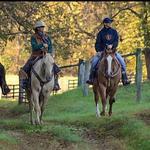 The Wagon Wheel Ranch