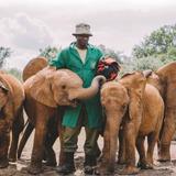 Sheldrick Elephant Orphanage