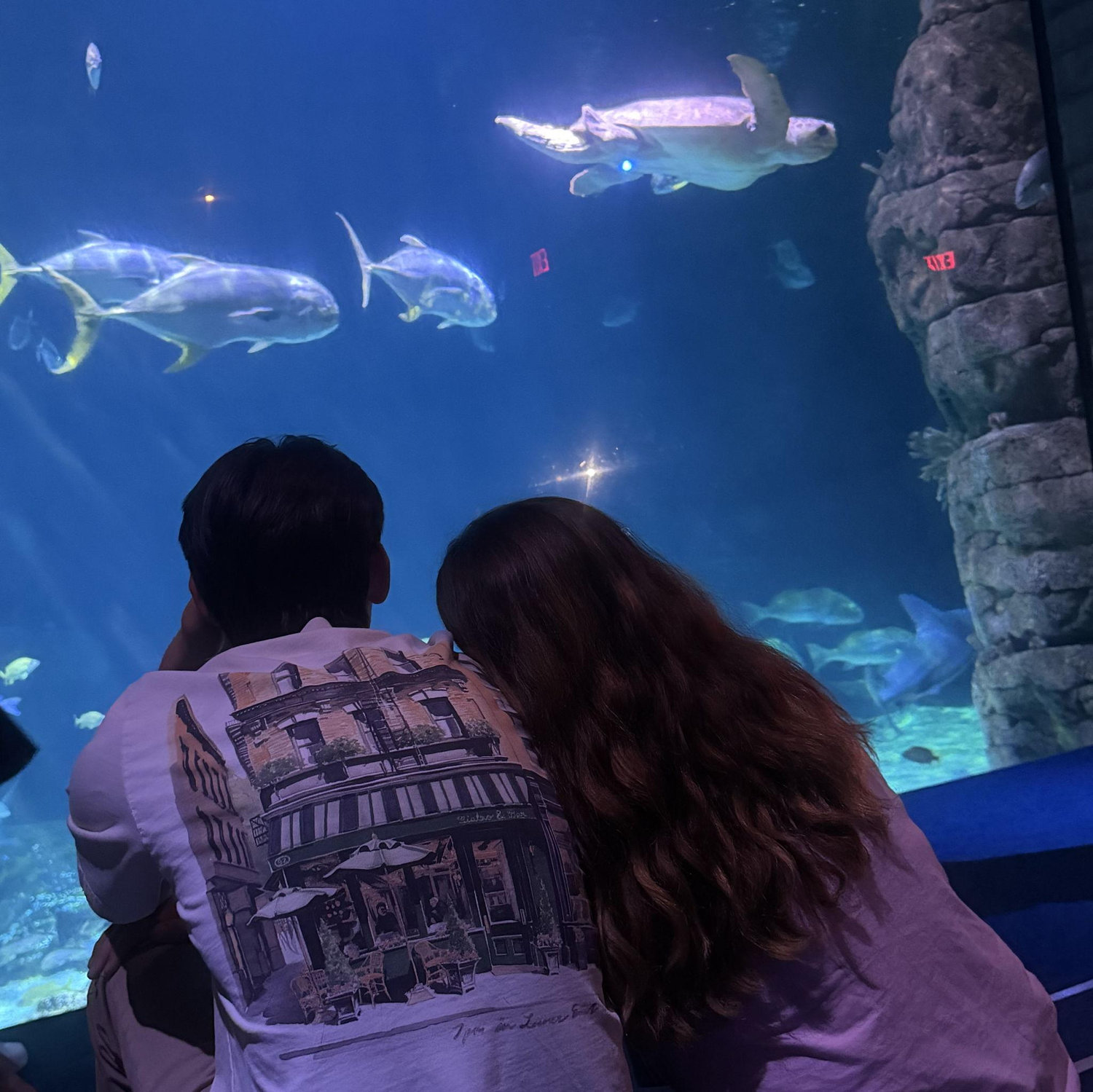 If you can't tell, we like going to the aquarium together!