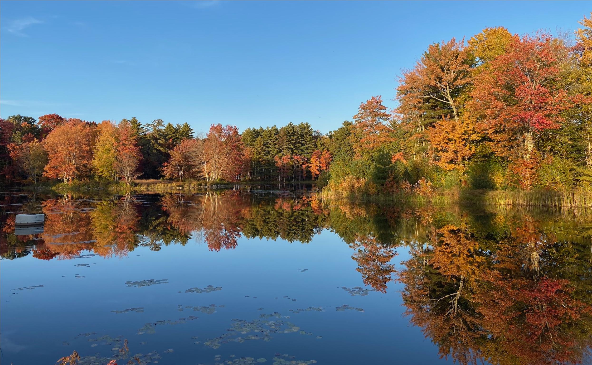 The Wedding Website of Julia Ruedig and Sean McBeath