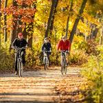 The Howard Temin Lakeshore Path