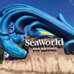 SeaWorld San Antonio