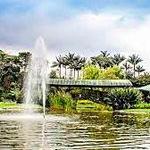 Jardín Botánico de Bogotá José Celestino Mutis