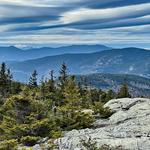 Blueberry Mountain