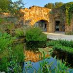 Lady Bird Johnson Wildflower Center