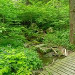 Grottos Trail