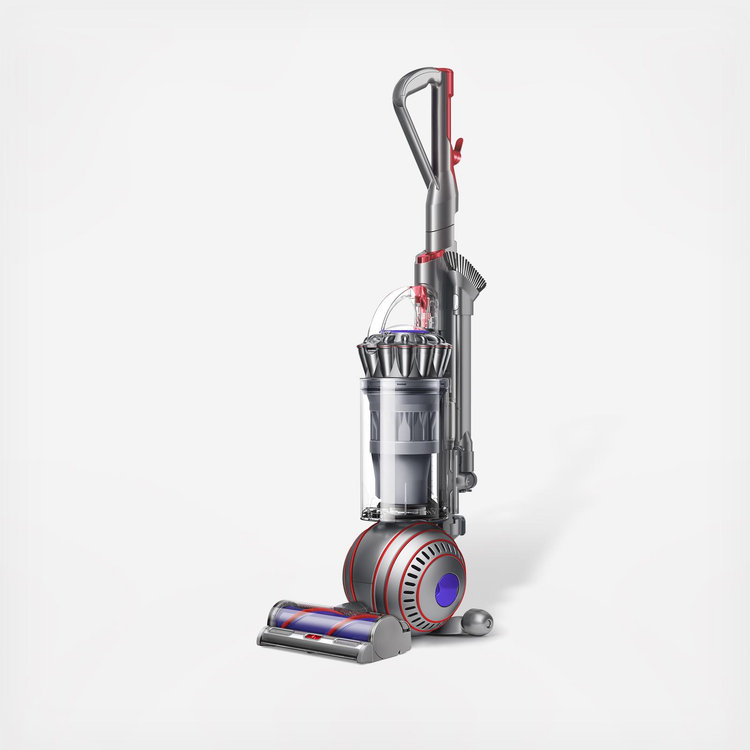 Dyson, Ball Animal 3 Extra Corded Vacuum | Zola