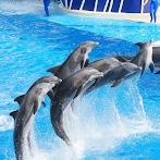 SeaWorld Orlando