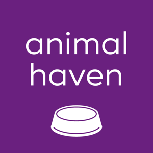 Animal Haven
