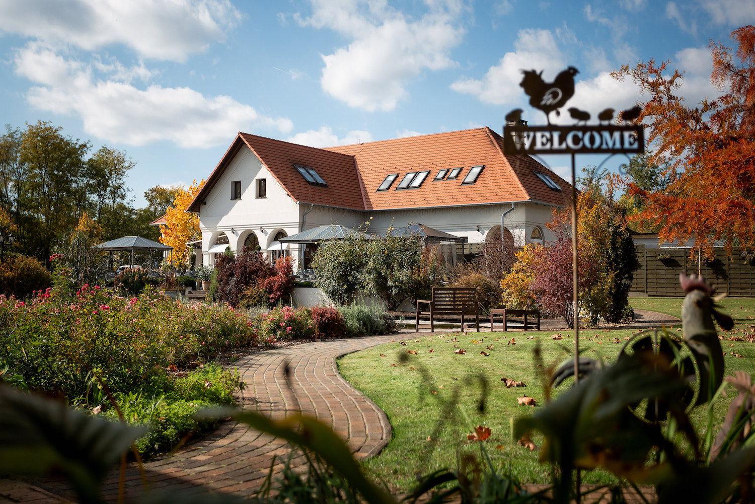 The Wedding Website of Márk Kis and Ariana Gilbert